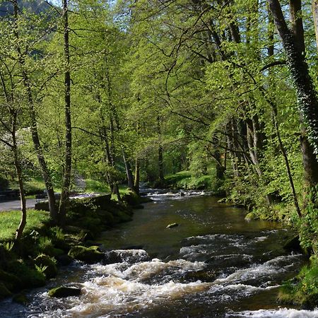 Wildbad Luft Bad Wildbad Exterior foto