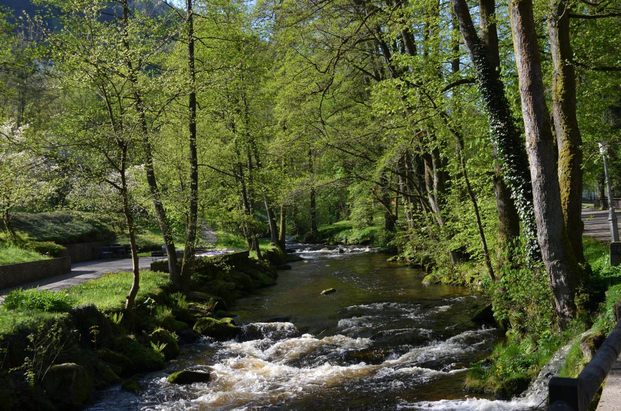 Wildbad Luft Bad Wildbad Exterior foto